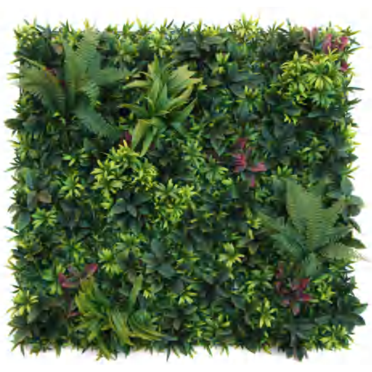 100cm Large Artificial Plant Wall Panel – Woodland Fern Design with UV Resistance