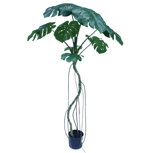 180cm Extra Large Green Monstera Artificial Plant – Lifelike Indoor Tropical Plant