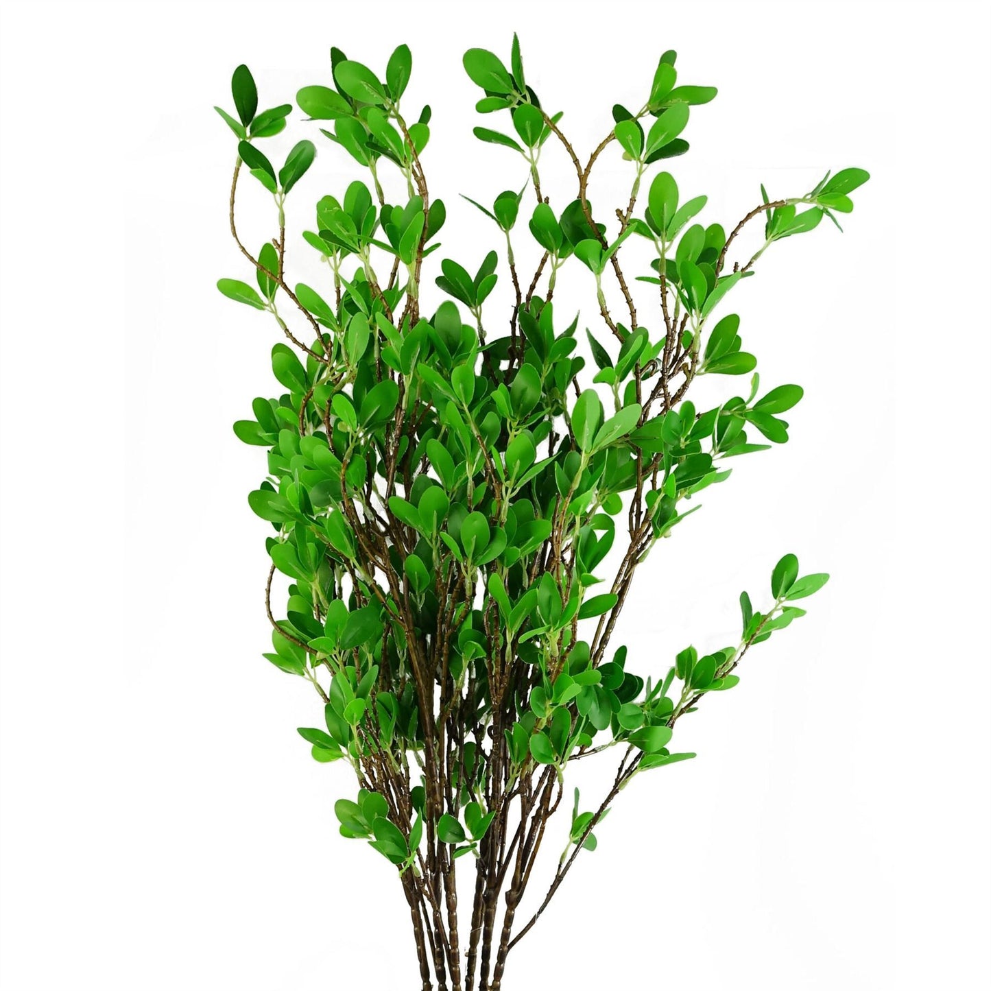 6 x 100cm Artificial Mini Leaf Ficus Plant Stems – Realistic Faux Foliage