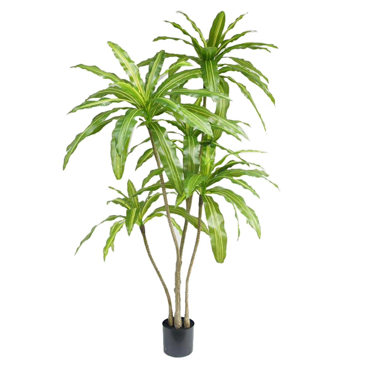 180cm Large Striped Artificial Dracaena Tree – Faux Dragon Tree
