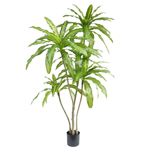 180cm Large Striped Artificial Dracaena Tree – Faux Dragon Tree
