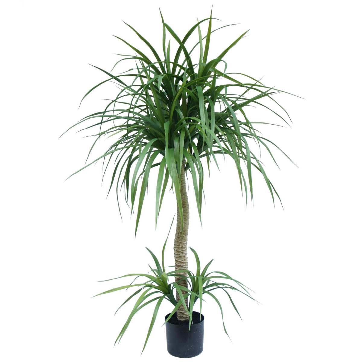 120cm Medium Artificial Dracaena Tree – Lifelike Indoor Tropical Plant