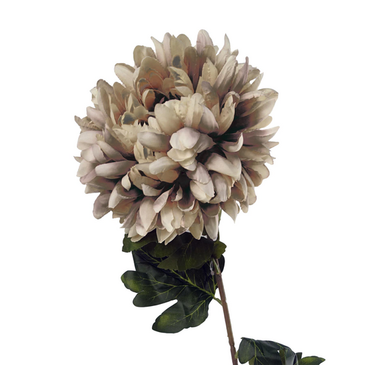 75cm Medium Artificial Mushroom Chrysanthemum Stem – Realistic Reflex Flower