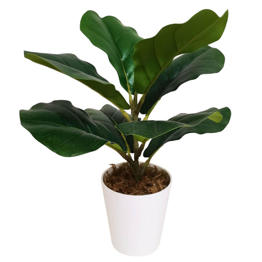 38cm Small Artificial Fiddle Leaf Fig Plant in White Pot – Indoor Ficus