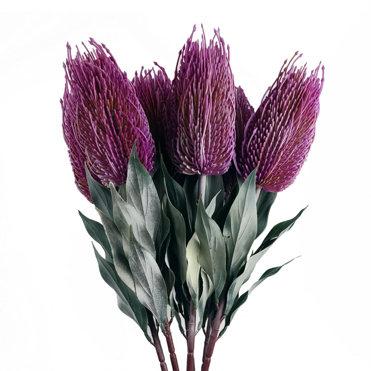 6 x 75cm Medium Artificial Pink Banksia Menziesii Flowers – Realistic Faux Stems