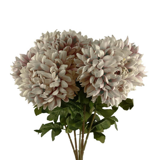 6 x 75cm Medium Artificial Mushroom Chrysanthemum Stems – Realistic Reflex Flower Set