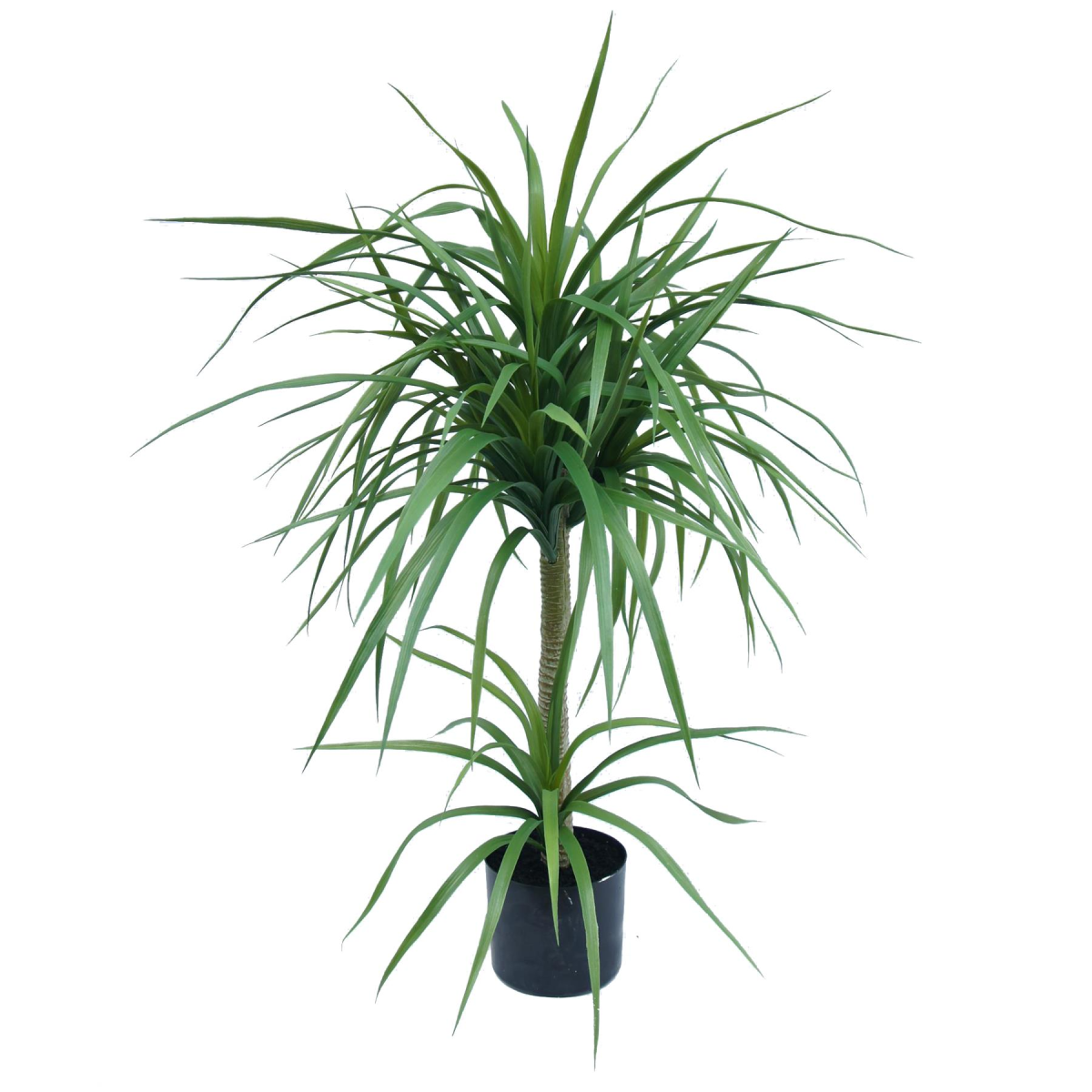 90cm Small Artificial Dracaena Tree – Lifelike Indoor Tropical Plant