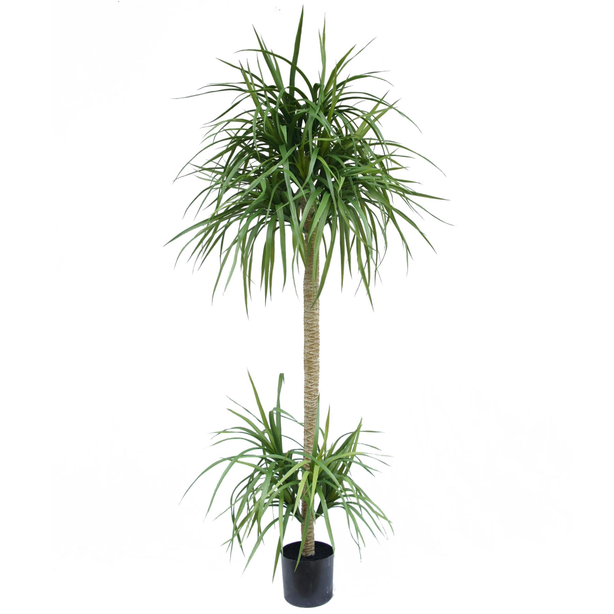 180cm Large Artificial Dracaena Tree – Lifelike Indoor Tropical Plant