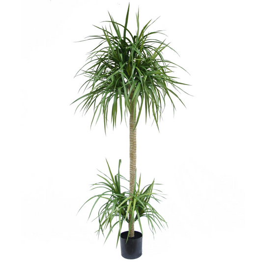 180cm Large Artificial Dracaena Tree – Lifelike Indoor Tropical Plant