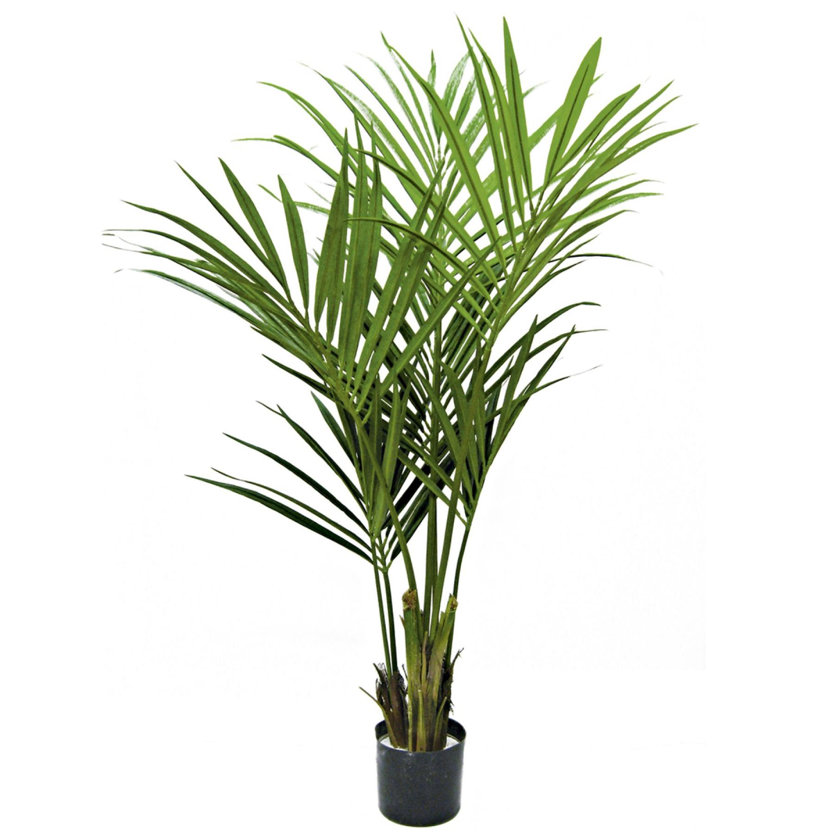 150cm Large Artificial Kentia Palm Tree – Realistic Indoor Tropical Plant